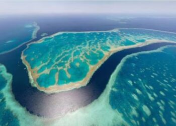 Australia bloquea proyecto de explotación de mina de carbón cerca de Gran Barrera de Coral