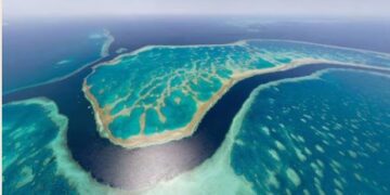 Australia bloquea proyecto de explotación de mina de carbón cerca de Gran Barrera de Coral