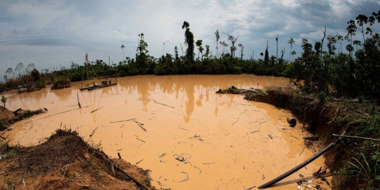 Mercurio y minería ilegal en Perú: sepa cómo amenaza a la Amazonía