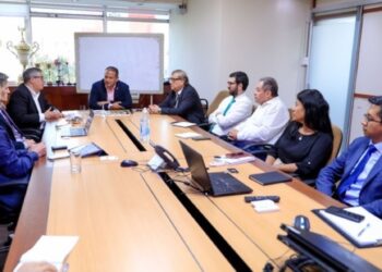 Minem y CAF unen fuerzas para desarrollar proyectos gasíferos en el sur del país