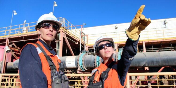 ¿Cuáles son los perfiles profesionales más demandados por el sector minero?