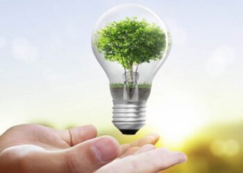 Día Nacional del Ahorro de Energía: 5 consejos para promover el correcto uso de este recurso