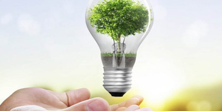 Día Nacional del Ahorro de Energía: 5 consejos para promover el correcto uso de este recurso