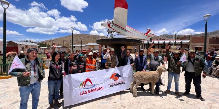 Las Bambas impulsa el fortalecimiento y la mejora genética de ovinos en las comunidades de Apurímac