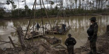 Estudio revela que intentos por formalizar a los artesanales no han ayudado a erradicar la minería ilegal