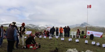 Apurímac: Las Bambas impulsa campaña forestal en 34 comunidades de esa región