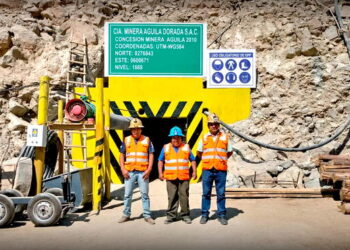 Reinfo: otorgan plazo de 3 meses para solicitar que se levante la suspensión de inscripción