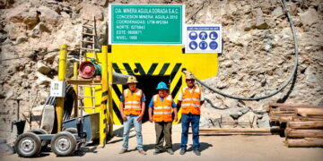 Reinfo: otorgan plazo de 3 meses para solicitar que se levante la suspensión de inscripción