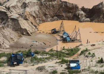 OPINIÓN | Jaime Polar: “Más allá del Reinfo”