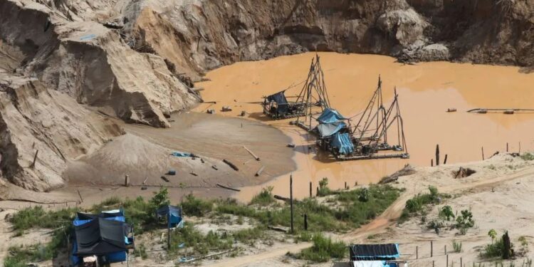 OPINIÓN | Jaime Polar: “Más allá del Reinfo”