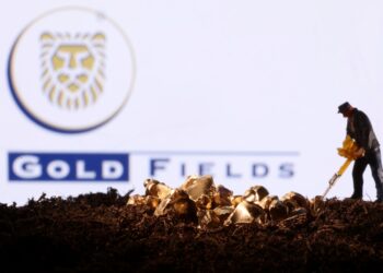 Minera Gold Fields anuncia el ingreso a Argentina y Brasil