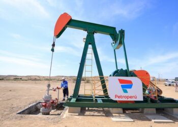 Petroperú está calificado para operar lote X, señala expresidente de Perupetro