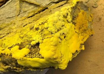 Destacan potencial exploratorio en la Cordillera Oriental