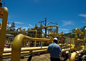 Petrotal adquiere Lote 131 a Cepsa