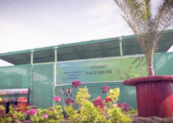 Paltarumi desarrolla actividades de economía circular en favor del medio ambiente