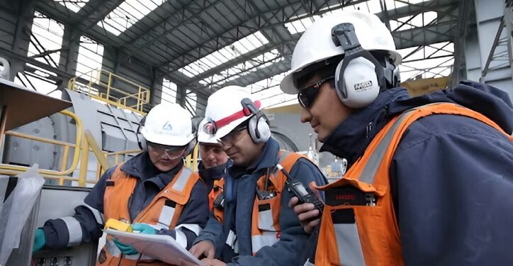 Diana Rake: “El Perú requiere poner en marcha nuevas inversiones para incrementar la demanda de jóvenes profesionales”