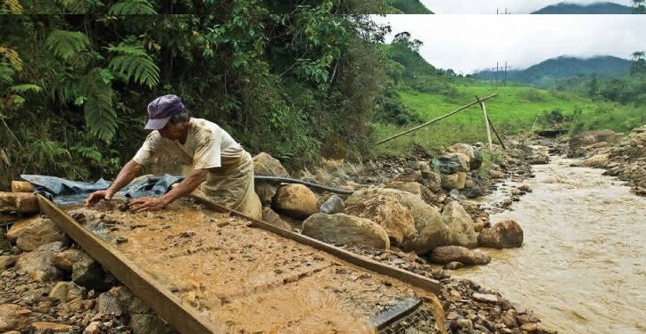 Gobierno trabaja planes de economías alternativas para reconvertir a mineros ilegales
