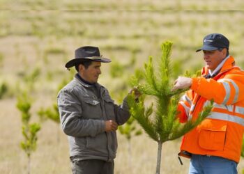 IPE: Apurímac ya no es la región más pobre tras la llegada de Las Bambas y tiene 8 proyectos más