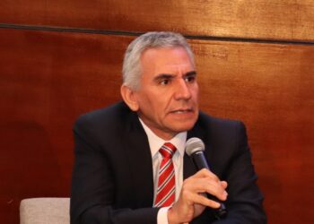 De Vinatea: «Hay cuatro proyectos por más de US$ 4,600 millones que pueden ver la luz en el 2025»