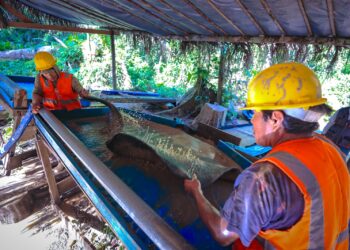 Minem espera formalizar a 20,000 mineros con extensión de seis meses del Reinfo