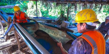 Minem espera formalizar a 20,000 mineros con extensión de seis meses del Reinfo