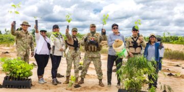 Sector Defensa contribuye en la recuperación de áreas afectadas por minería ilegal