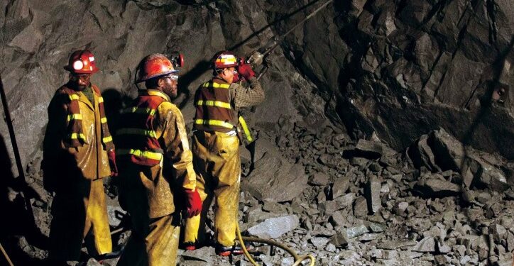 Advierten presencia temprana de mineros ilegales desde los proyectos de exploración