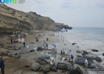 Talara: Minam declara Emergencia Ambiental por derrame de petróleo