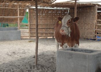 Animales silvestres tendrán refugio en zoológico de planta minera