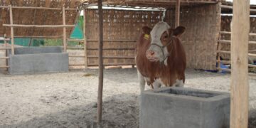 Animales silvestres tendrán refugio en zoológico de planta minera