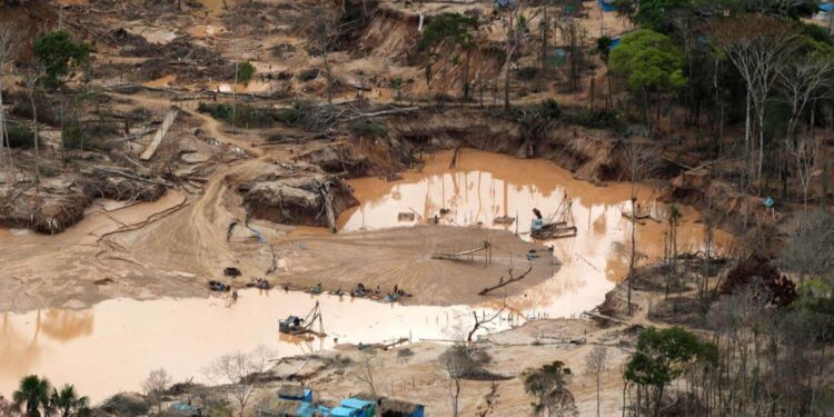 Plantean intervención de la unidad financiera para erradicar la minería ilegal