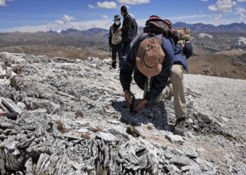 Reactivar la exploración de litio requiere resolver vacíos normativos, afirman especialistas