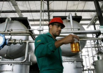 De la cocina al motor: Reborn y la producción de biodiésel que llegará a nuevas rutas