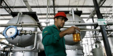 De la cocina al motor: Reborn y la producción de biodiésel que llegará a nuevas rutas