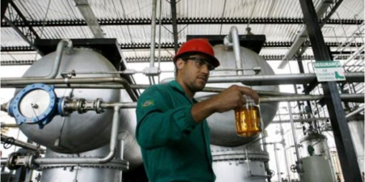 De la cocina al motor: Reborn y la producción de biodiésel que llegará a nuevas rutas