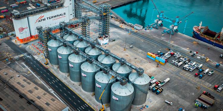 Récord logístico: Muelle Norte del Puerto del Callao recibe el mayor cargamento de maíz en la historia del Perú