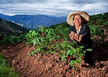 Vivian Polar: “La innovación debe generar cambios reales en la calidad de vida de las personas y de los territorios”