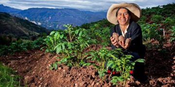 Vivian Polar: “La innovación debe generar cambios reales en la calidad de vida de las personas y de los territorios”