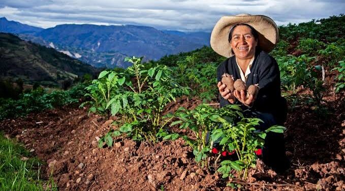 Vivian Polar: “La innovación debe generar cambios reales en la calidad de vida de las personas y de los territorios”