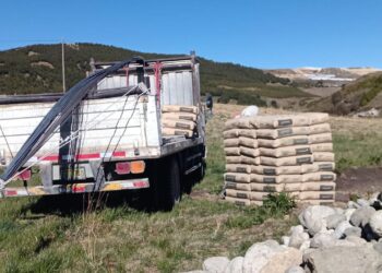 Gold Fields implementará cobertizos para mejorar la crianza de ganado en El Tingo